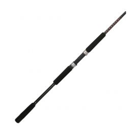 FISHING RODS SHAKESPEARE UGLY STIK 10FT BWSF1530S1