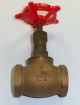 VALVE GLOBE 1031 PEGLER 1/2