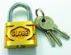 PADLOCK LONG SHACKLE GLOBE BRASS 50MM 405-L